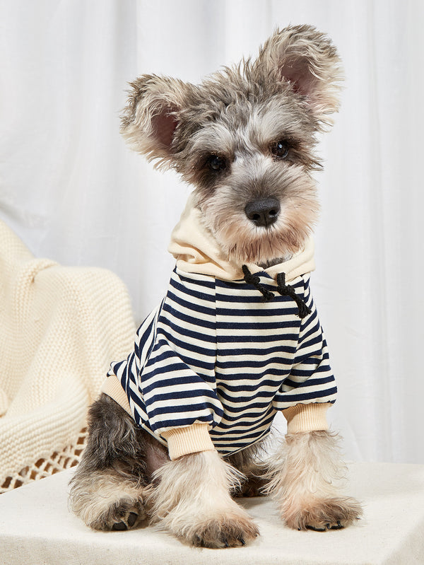 PetHaven.comPet Striped Sweater Dog Fashion Hooded ClothesPet Striped Sweater Dog Fashion Hooded ClothesProduct information:
 


 Material: Polyester
 
 Product category: Two-legged clothes T
 
 Application: Pet


 


 Size Information:
 
 Size: XS, S, M, L, XL


 
 
 clothes
