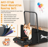 PetHaven.comPet treadmill for dogspet treadmill for dogsKeep Your Dog Fit with the Pet Treadmill for Dogs
The pet treadmill for dogs is the ultimate solution for maintaining your furry friend’s health and fitness. Designepet walker