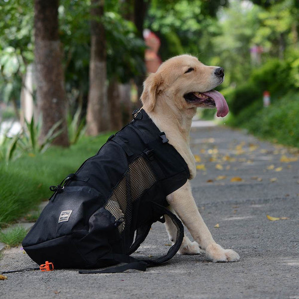PetHaven.comBreathable Pet BackpackVentilated And Breathable Pet BackpackBreathable Pet Backpack for Comfortable and Safe Travel
The Breathable Pet Backpack is the perfect solution for pet owners on the go. This Breathable Pet Backpack enaccessories