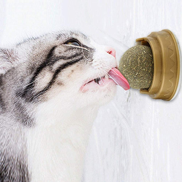 PetHaven.comCatnip Balls Cat Treats Rotary Molar Teeth CleaningCatnip Balls Cat Treats Rotary Molar Teeth CleaningProduct Details:
  
 


 Weight: 30g
 
 Flavor: Mint
 
 Applicable object: cat
 
 Pattern: plain
 
 Main ingredients: catnip / gall fruit powder / polygonum multiflopet care