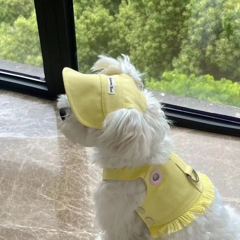 PetHaven.comPet Clothes Candy Color Denim VestPet Clothes Candy Color Denim VestOur Pet Clothes Candy Color Denim Vest is the perfect blend of style and comfort for your furry friend. Made with soft, high-quality denim fabric, this Pet Clothes Cclothes