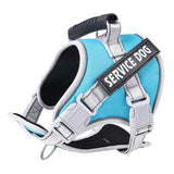 PetHaven.comchest strap scalable for petchest strap scalable for petThe chest strap scalable for pet is designed for ultimate comfort and adjustability. Perfect for all pet sizes, this chest strap scalable for pet ensures a secure anaccessories