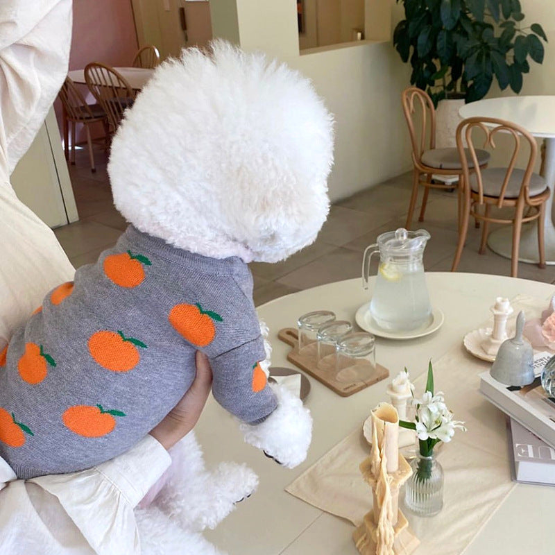 PetHaven.comWinter Pet Knitting Sweater BomeiAutumn And Winter Pet Knitting Sweater BomeiProduct information:
 
 
 Material: knitted
 
 Color: blue (excluding small bags), black squares, pink squares, blue dots, gray dots, red dots, rice double pockets, 0