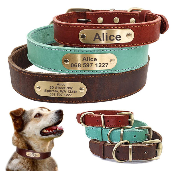 PetHaven.comPersonalized Dog CollarsPersonalized Dog Collars with Nameplate ID Tags for Medium Large DogsGive Your Pet a Stylish and Secure Look with Personalized Dog Collars
Make your furry friend stand out with our Personalized Dog Collars, combining style, comfort, a7