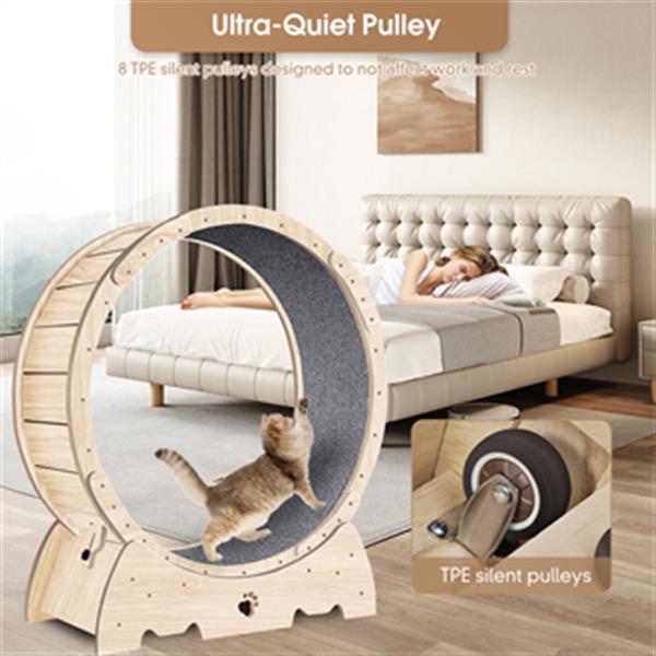 PetHaven.comIndoor Cat Sports WheelIndoor Cat Sports Wheel【Latest Cat Running Wheel】Most pet cats are overweight because they spend long hours indoors and lack exercise. Cat Exercise Wheel for Indoor Cat. And running is theaccessories