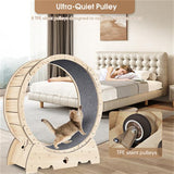 PetHaven.comIndoor Cat Sports WheelIndoor Cat Sports Wheel【Latest Cat Running Wheel】Most pet cats are overweight because they spend long hours indoors and lack exercise. Cat Exercise Wheel for Indoor Cat. And running is theaccessories