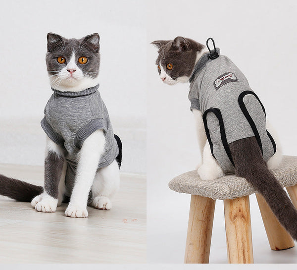 PetHaven.comPet Cat RecoveryPet Cat Recovery After Surgery Clothing Pet Wound Anti-mite SterilizatPet Cat Recovery: Support Your Feline's Healing Journey
Ensure your pet’s comfort and recovery with our Pet Cat Recovery product. Specially designed to assist in theclothes
