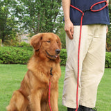 PetHaven.comPet Multifunctional Adjustable Reflective Hand Holding RopePet Multifunctional Adjustable Reflective Hand Holding RopeProduct information: 
Pet Multifunctional Adjustable Reflective Hand Holding Rope is the perfect accessory for every pet owner who loves to go on outdoor adventures pet walker