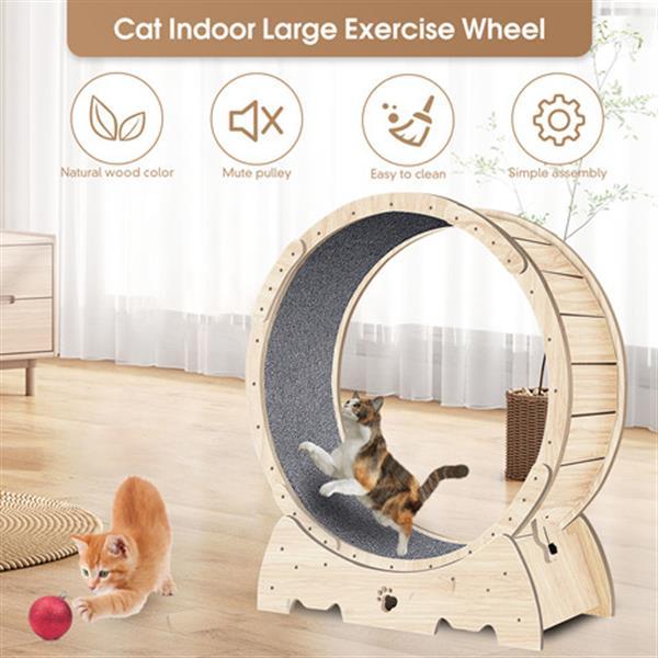 PetHaven.comIndoor Cat Sports WheelIndoor Cat Sports Wheel【Latest Cat Running Wheel】Most pet cats are overweight because they spend long hours indoors and lack exercise. Cat Exercise Wheel for Indoor Cat. And running is theaccessories