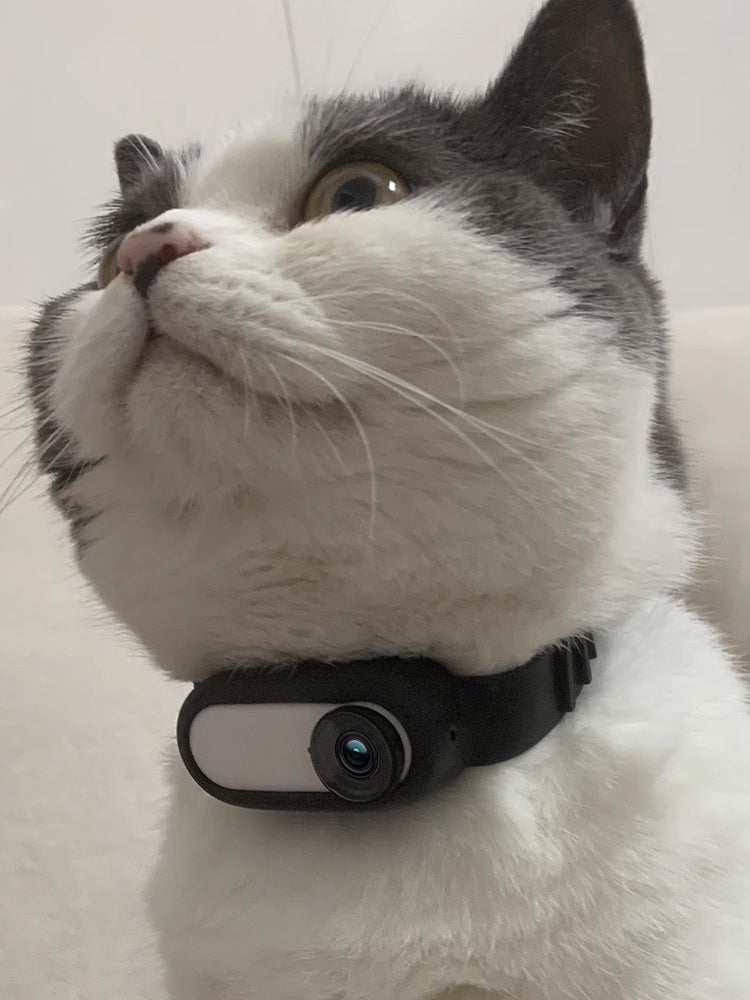 PetHaven.comDog Collar Camera IndoorPet Supplies Cat And Dog Collar Camera Indoor And Outdoor Wireless RecProduct information:
 
 Color: Black
 
 Specifications: black (collar), Black (collar camera)
 
 Material: Silicone
 
 Applicable object: general
 
 Suitable season:accessories