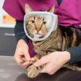 PetHaven.comAnti-Bite pet muzzlesAnti-Bite pet muzzlesProtect your pet and those around you with our high-quality Anti-Bite Pet Muzzles. Designed for comfort and safety, these muzzles are ideal for preventing biting durpet handling