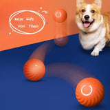 PetHaven.comBite Dog Chew Toys Puppy Pets Dogs Training ProductsPet Dog Rubber Ball Toys For Dogs Resistance To Bite Dog Chew Toys PupOverview:


 1. [SAFE RUBBER MATERIAL]: Balls for dogs are made from thick rubber cores, have great elasticity, and are a soft touch for aggressive chewers.
 
 2. [B0