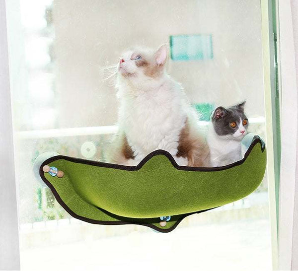 PetHaven.comWindow sill cat hammockWindow sill cat hammockSize: 59*22*13cm
 
 Material: EVA + felt cloth
 
 Product Features / Features:
 
 
 A wrapped suction cup cat hammock for winter and summer
 
 
 1. The cat litter isDog/Cat house