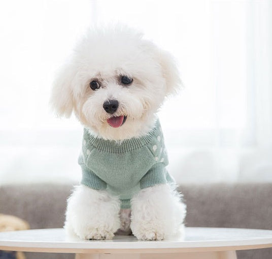 PetHaven.comDog clothesCat,Dog Sweatermaterial: Wool
 
 Product category: Sweater
 
 Applicable gender: universal
 
 Color: yellow cat, green lion, pink rabbit, red puppy, blue panda, yellow lion, gray p0