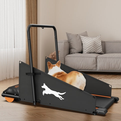 PetHaven.comPet treadmill for dogspet treadmill for dogsKeep Your Dog Fit with the Pet Treadmill for Dogs
The pet treadmill for dogs is the ultimate solution for maintaining your furry friend’s health and fitness. Designepet walker