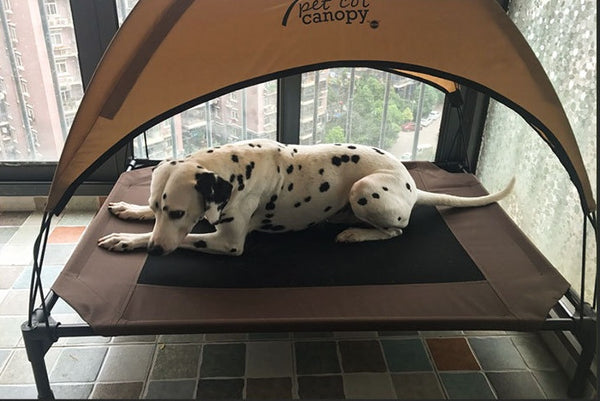 PetHaven.comPet bed dog moisture-proof removable washable stack dog bed Oxford cloth camp bedPet bed dog moisture-proof removable washable stack dog bed Oxford cloName: Pet Breathing Force Bed
 
 Material: Oxford cloth, painted metal tube, four-way tube
 
 Product Category: Pet bed
 
 
 Features: moisture-proof, breathable
 
 bed