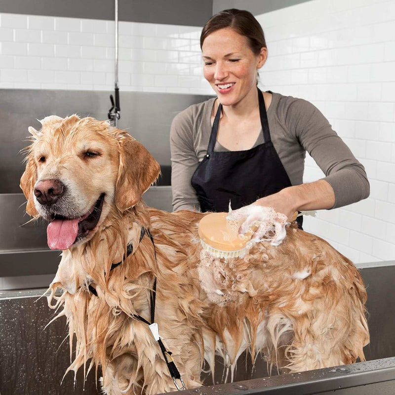 PetHaven.comMassage Points Wooden HandlePet Shampoo Brush With Massage Points Wooden Handle, And Natural BristExperience ultimate relaxation with our Massage Points Wooden Handle tool, designed to provide a therapeutic massage experience. The ergonomic Massage Points Wooden 4