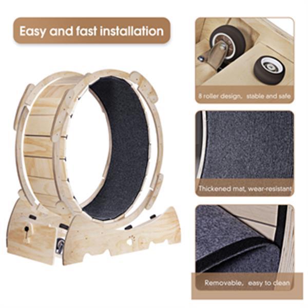 PetHaven.comIndoor Cat Sports WheelIndoor Cat Sports Wheel【Latest Cat Running Wheel】Most pet cats are overweight because they spend long hours indoors and lack exercise. Cat Exercise Wheel for Indoor Cat. And running is theaccessories