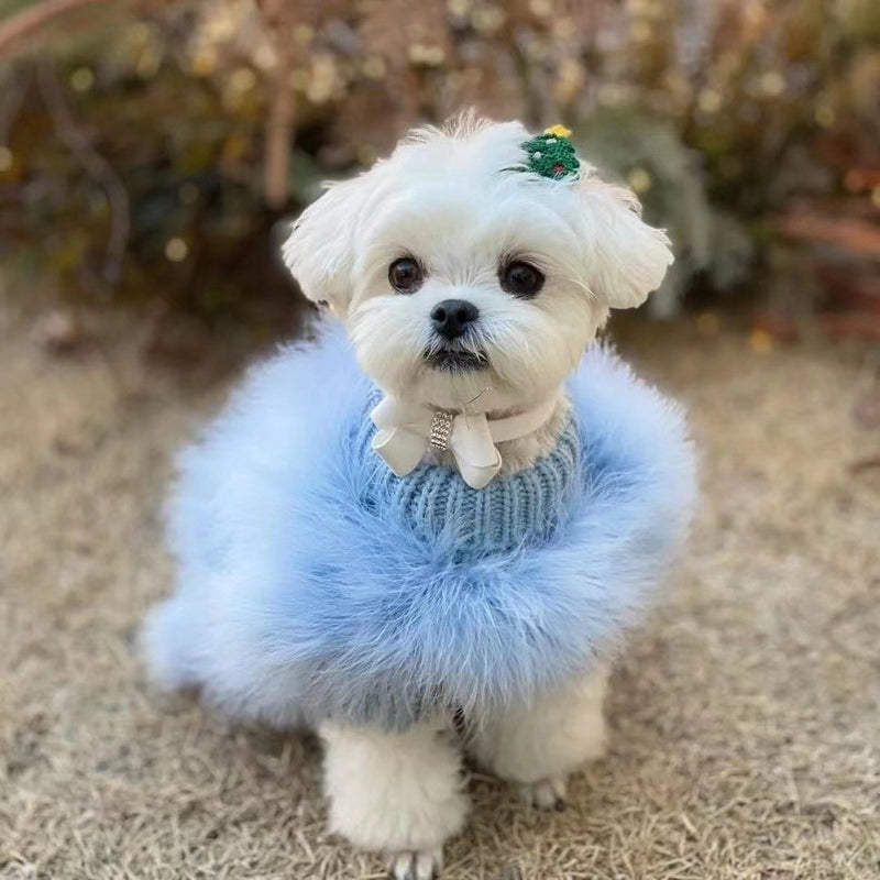 PetHaven.comWinter Sweater Jarre Aero Bull VIP DogsAutumn And Winter Sweater Jarre Aero Bull VIP Dogs And Cats Pet ClotheProduct information:
 
 Color: pink, blue
 
 Size: S, M, L, XL
 
 Material: Wool
 
 Category: pet clothing

Size:


 
Packing list: 

Pet clothing x 1pc 
Product Ima0