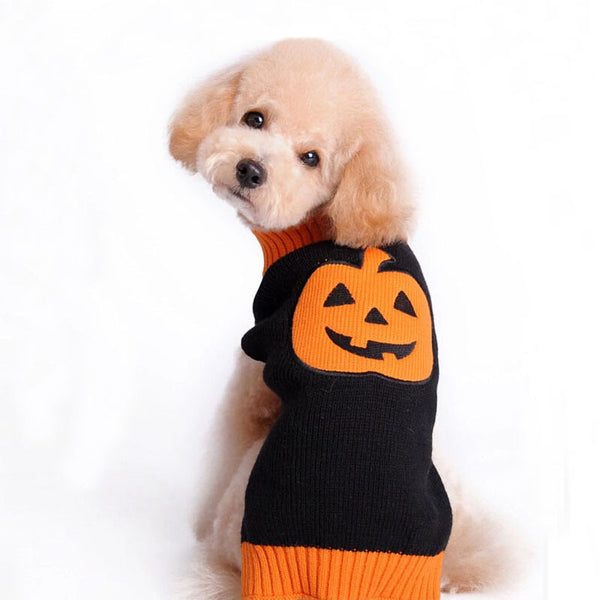PetHaven.comPet Halloween Dog Knitted Pumpkin SweaterPet Halloween Dog Knitted Pumpkin SweaterProduct information:
 


 Material: Acrylic
 
 Application: Pet
 
 Color: orange black pumpkin, new pumpkin-navy blue,


 


 Size information:
 
 


 
 
 size
 
 Ba0
