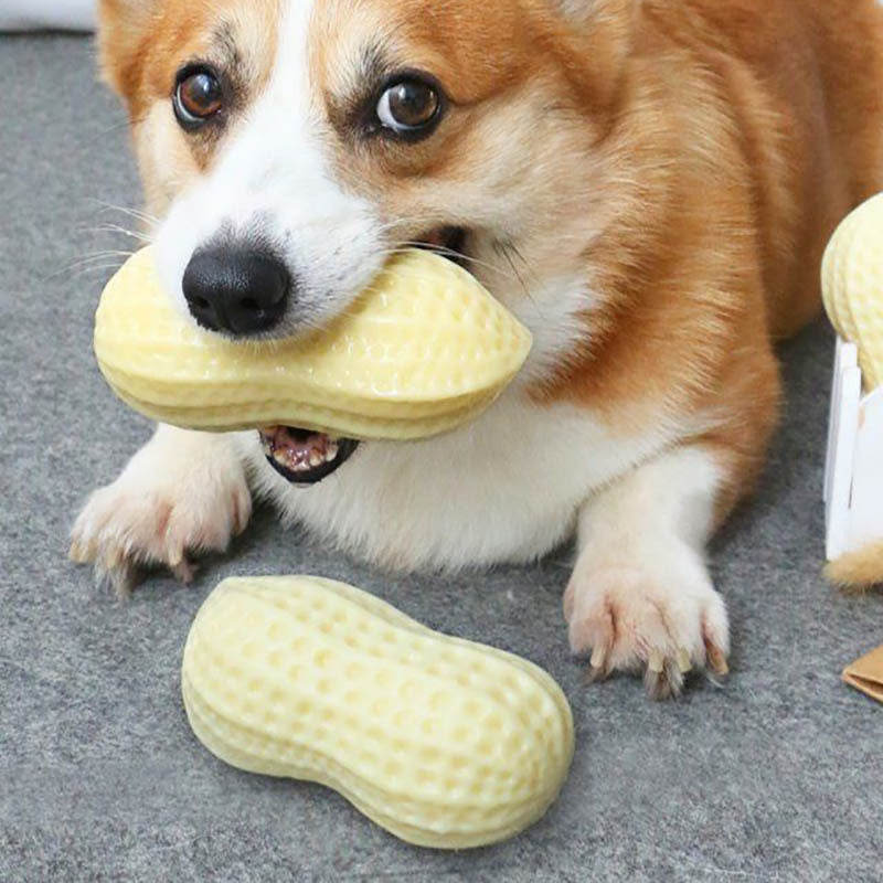 PetHaven.comSmall Middle Dogs Bite Resistant Puppy Cat Dogs Toys Pets Rubber Peanut Clean Tooth Chew ToyFunny Pet Dog Squeaky Toys For Small Middle Dogs Bite Resistant Puppy 【DOG CHEW TOYS FOR AGGRESSIVE CHEWRES】: Dog peanut-shaped dog squeaky toys are perfect for meeting your dog’s instinctual chewing needs and satisfying their boredom.5