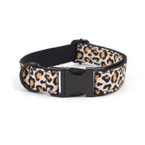 PetHaven.comPet Dog Black Buckle Collar Leash SetPet Dog Black Buckle Collar Leash SetProduct information:
Give your furry friend a stylish and durable solution with our Pet Dog Black Buckle Collar Leash Set. This versatile set is perfect for daily wa7