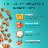 PetHaven.comNatural probiotic supplements for petsNatural probiotic supplements for petsNatural Probiotic Supplements for Pets
Support your pet’s overall health with our Natural Probiotic Supplements for Pets, designed to improve digestion and boost immmeds