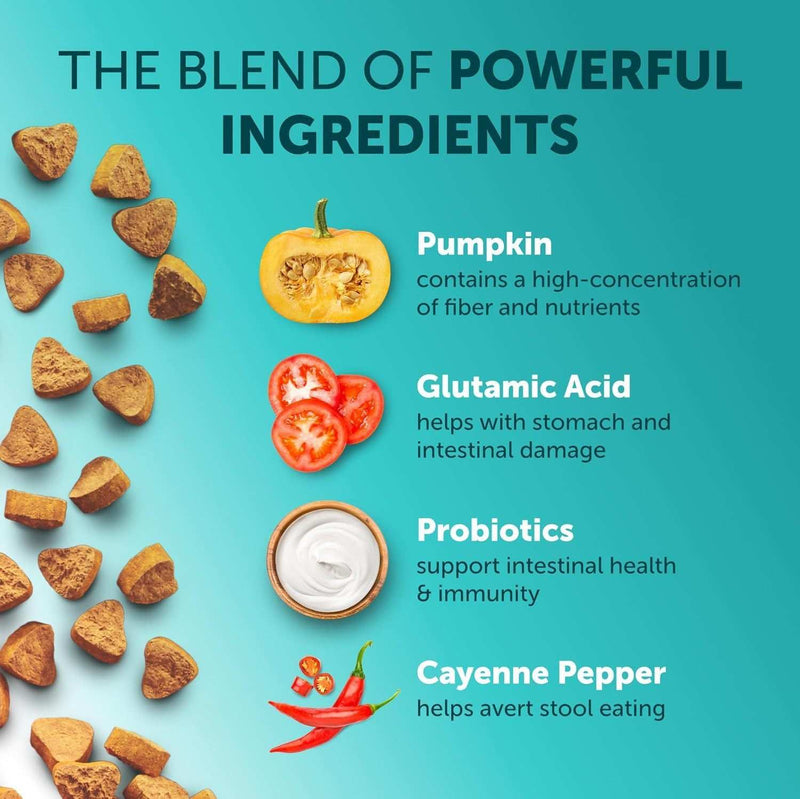 PetHaven.comNatural probiotic supplements for petsNatural probiotic supplements for petsNatural Probiotic Supplements for Pets
Support your pet’s overall health with our Natural Probiotic Supplements for Pets, designed to improve digestion and boost immmeds
