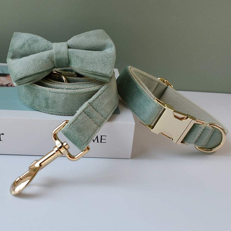 PetHaven.comMint Green Dog Collar LeashMint Green Dog Collar LeashThe Mint Green Dog Collar Leash is the perfect combination of style and durability for your furry companion. Made from high-quality materials, this Mint Green Dog Coaccessories