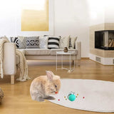 PetHaven.comCat Toys Interactive Dog Toys Treat Dispensing Dog Toys Cat Feeder Toy Dog Enrichment Toys Dog Treat BallCat Toys Interactive Dog Toys Treat Dispensing Dog Toys Cat Feeder Toy1 Interactive Dog Toys: When the dog treat ball is shaken back and forth, snacks will leak out of it, so that it can increase the fun of the toy and make the pet eat4