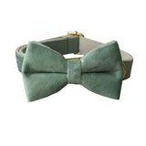 PetHaven.comMint Green Dog Collar LeashMint Green Dog Collar LeashThe Mint Green Dog Collar Leash is the perfect combination of style and durability for your furry companion. Made from high-quality materials, this Mint Green Dog Coaccessories