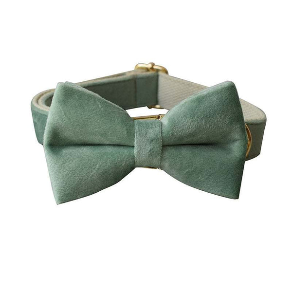 PetHaven.comMint Green Dog Collar LeashMint Green Dog Collar LeashThe Mint Green Dog Collar Leash is the perfect combination of style and durability for your furry companion. Made from high-quality materials, this Mint Green Dog Coaccessories
