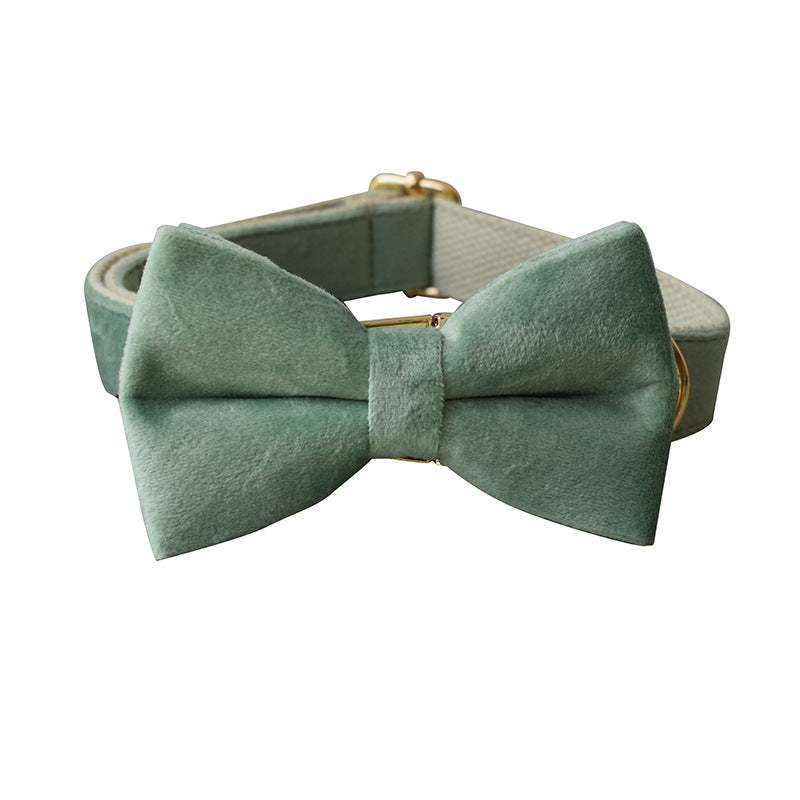 PetHaven.comMint Green Dog Collar LeashMint Green Dog Collar LeashThe Mint Green Dog Collar Leash is the perfect combination of style and durability for your furry companion. Made from high-quality materials, this Mint Green Dog Coaccessories
