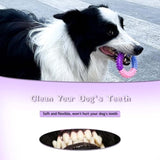 PetHaven.comDog Chew Toys Ring Dog Teething Toys Rubber Puppy Teething Toys Pet ToysDog Chew Toys Ring Dog Teething Toys Rubber Puppy Teething Toys Pet ToPuppy's gums won't hurt when using the teething pet dog toys,won't hurt your puppy's little teeth.
Interactive Dog Toys for Small and Medium Dogs: This fun dog chew 4