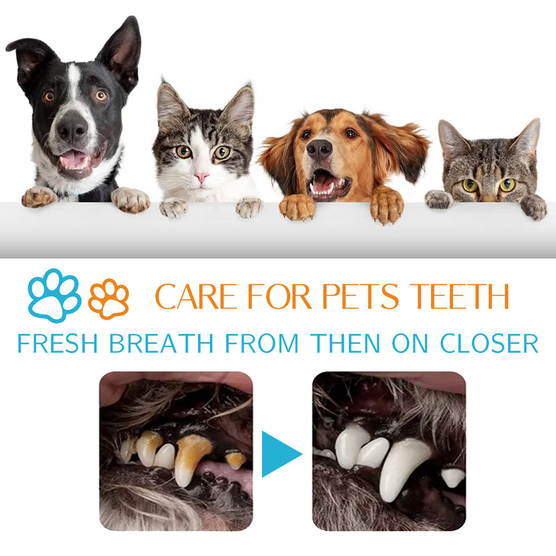 PetHaven.comDog Cat Teeth Cleaning Finger Stall Pet Teeth CleaningDog Cat Teeth Cleaning Finger Stall Pet Teeth CleaningProduct information:
 
 Efficacy: Pet Oral cleaning
 
 Specification: 50pads
 
 Ingredients: Water, cetyltrimethyl ammonium chloride, PEG-40 hydrogenated castor oil,pet care