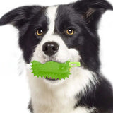 PetHaven.comInteractive Dog Teething Chili Chewers Toy Interactive Toys Dog ToysInteractive Dog Teething Chili Chewers Toy Interactive Toys Dog ToysDescription

 Report Item


 Features:
 
 It's easy to get your dog's attention and encourage his chewing instincts. attract dog's attention to play with.
 
 This Tr4