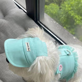 PetHaven.comPet Clothes Candy Color Denim VestPet Clothes Candy Color Denim VestOur Pet Clothes Candy Color Denim Vest is the perfect blend of style and comfort for your furry friend. Made with soft, high-quality denim fabric, this Pet Clothes Cclothes