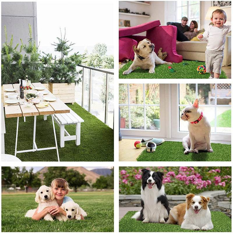 PetHaven.comPet Lawn Mat Professional ToiletPet Lawn Mat Professional ToiletProduct information: Pet Lawn Mat Professional ToiletEnsure your pet’s comfort and hygiene with the Pet Lawn Mat Professional Toilet. Designed for pets of all sizes,accessories