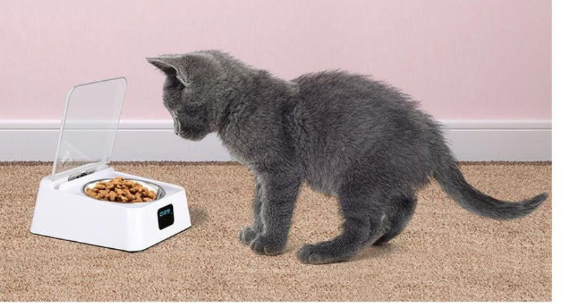 PetHaven.comPet 5G Bowl Automatic Pet FeederPet 5G Bowl Automatic Pet FeederProduct Information:
 
 


 Rated voltage: DC3.7V
 
 Product size: 210*1 70*92mm
 
 Power: 1.5W
 
 Product net weight: 570g
 
 Current: 420mA
 
 Color box size: 245*0