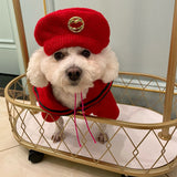 PetHaven.comDog Clothes Pet Sweater AutumnDog Clothes Pet Sweater Autumn And WinterProduct information :
 
 
 Material: wool
 
 Product category: sweater
 
 Color: red
 
 
 
 Size Information:
 
 
 Sizes: XS,S,M,L,XL,XXL
 
 


 
 
 Note:
 
 
 1. As0