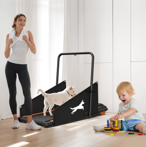 PetHaven.comPet treadmill for dogspet treadmill for dogsKeep Your Dog Fit with the Pet Treadmill for Dogs
The pet treadmill for dogs is the ultimate solution for maintaining your furry friend’s health and fitness. Designepet walker