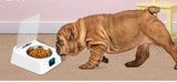 PetHaven.comPet 5G Bowl Automatic Pet FeederPet 5G Bowl Automatic Pet FeederProduct Information:
 
 


 Rated voltage: DC3.7V
 
 Product size: 210*1 70*92mm
 
 Power: 1.5W
 
 Product net weight: 570g
 
 Current: 420mA
 
 Color box size: 245*0