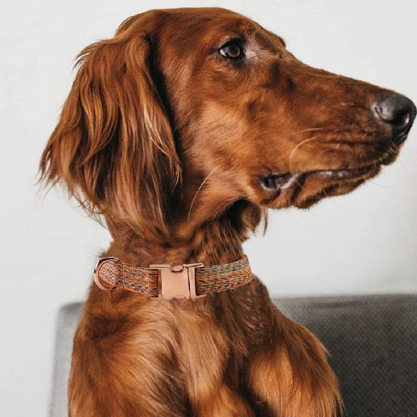 PetHaven.comFaux Linen Metal Buckle Collar Dog LeashFaux Linen Metal Buckle Collar Dog LeashProduct information:
"Upgrade your pet's walking experience with the Faux Linen Metal Buckle Collar Dog Leash. Designed for durability and style, this leash combines7