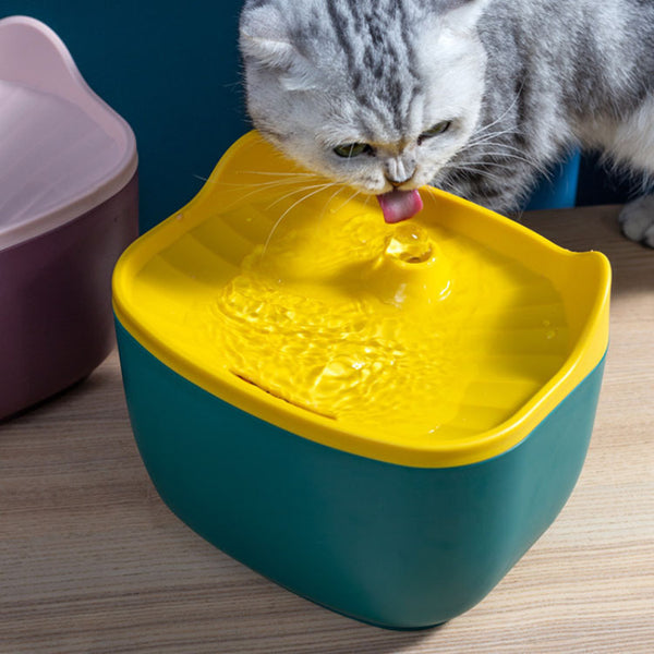 PetHaven.comWashable Pet Cat Drinking FountainRemovable And Washable Pet Cat Drinking FountainProduct information:
 


 Material: ABS
 
 Specification: pink purple, green yellow
 
 Capacity: 2.5L
 
 Power supply: DC 5V 50Hz 100ma
 
 Size: 21*16.5*15.5CM


 
 0