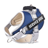 PetHaven.comchest strap scalable for petchest strap scalable for petThe chest strap scalable for pet is designed for ultimate comfort and adjustability. Perfect for all pet sizes, this chest strap scalable for pet ensures a secure anaccessories