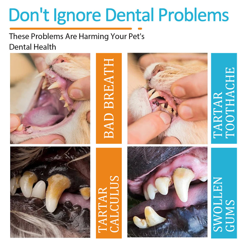 PetHaven.comDog Cat Teeth Cleaning Finger Stall Pet Teeth CleaningDog Cat Teeth Cleaning Finger Stall Pet Teeth CleaningProduct information:
 
 Efficacy: Pet Oral cleaning
 
 Specification: 50pads
 
 Ingredients: Water, cetyltrimethyl ammonium chloride, PEG-40 hydrogenated castor oil,pet care
