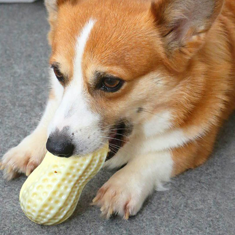 PetHaven.comSmall Middle Dogs Bite Resistant Puppy Cat Dogs Toys Pets Rubber Peanut Clean Tooth Chew ToyFunny Pet Dog Squeaky Toys For Small Middle Dogs Bite Resistant Puppy 【DOG CHEW TOYS FOR AGGRESSIVE CHEWRES】: Dog peanut-shaped dog squeaky toys are perfect for meeting your dog’s instinctual chewing needs and satisfying their boredom.5