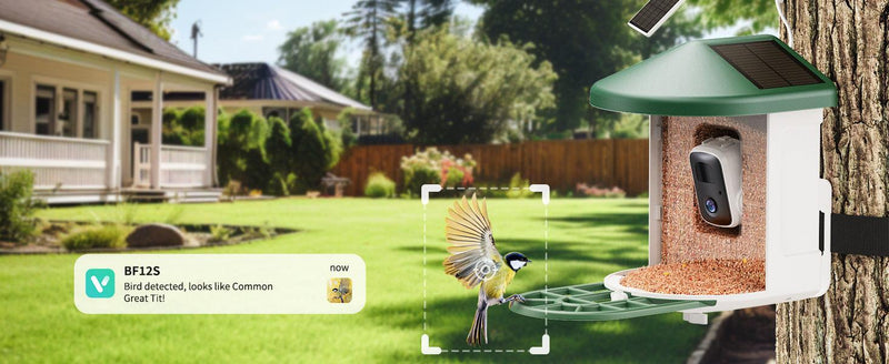 PetHaven.comSmart Feeder Surveillance Wireless CameraSmart Feeder Surveillance Wireless CameraProduct information:
 
 Specification: smart feeder video edition
 
 Applicable occasions for gifts: party
 
 Applicable object: Bird
 
 Category: Intelligent feeder0