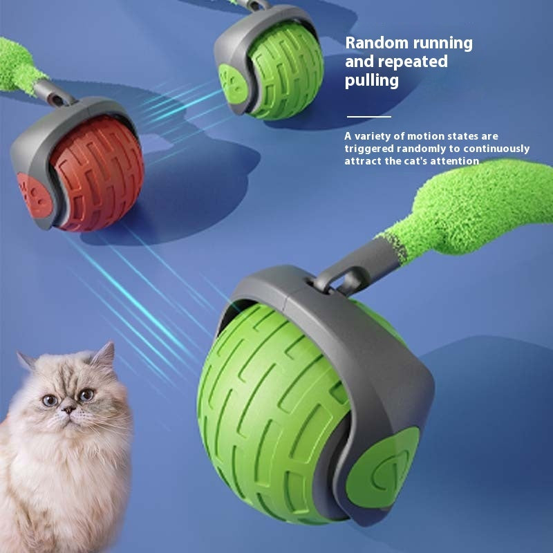 PetHaven.comcat kitty pets smart auto teaser usb rechargeable toy ballcat kitty pets smart auto teaser usb rechargeable toy ballOverview:
 【cat kitty pets smart auto teaser usb rechargeable toy ball】Food grade ABS material, no pressure for cats to bite.
【cat kitty pets smart auto teaser usb rtoys