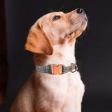 PetHaven.comFaux Linen Metal Buckle Collar Dog LeashFaux Linen Metal Buckle Collar Dog LeashProduct information:
"Upgrade your pet's walking experience with the Faux Linen Metal Buckle Collar Dog Leash. Designed for durability and style, this leash combines7